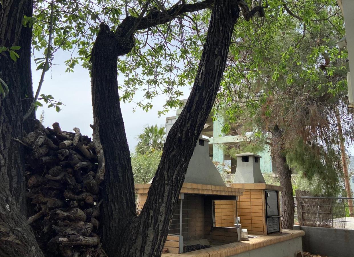 Architect'S Summer House By The Beach Pórto Ráfti المظهر الخارجي الصورة