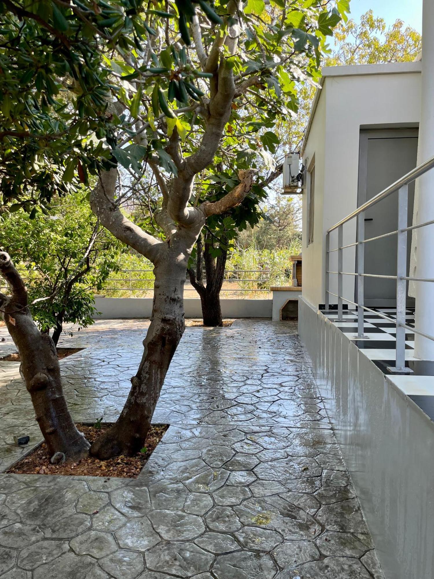 Architect'S Summer House By The Beach Pórto Ráfti المظهر الخارجي الصورة